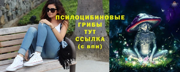 ПСИЛОЦИБИНОВЫЕ ГРИБЫ Козельск